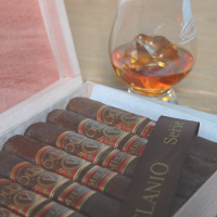 Oliva Serie V Melanio Gran Reserva Robusto Cigar - 1 Single